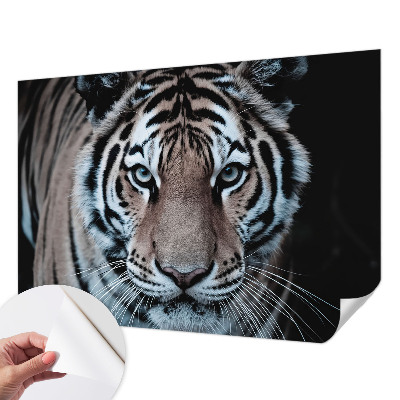 Autocolante de parede fotográfico Retrato de tigre
