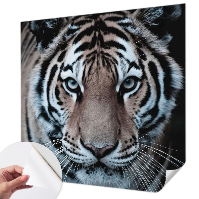 Autocolante de parede fotográfico Retrato de tigre