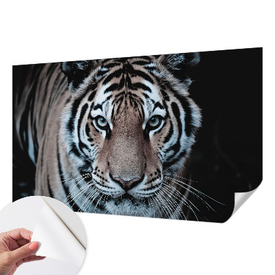Autocolante de parede fotográfico Retrato de tigre