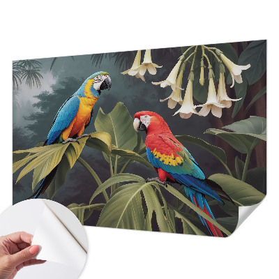 Papel de parede para criança papagaios coloridos