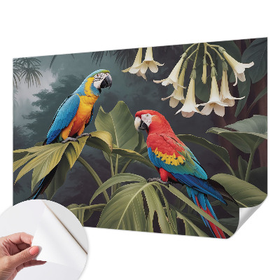 Papel de parede para criança papagaios coloridos