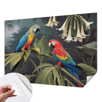 Papel de parede para criança papagaios coloridos