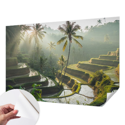 Papel de parede infantil Terraços paradisíacos
