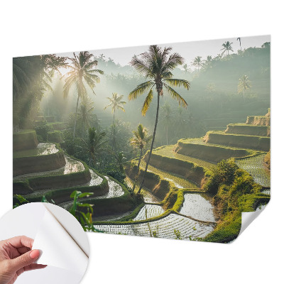 Papel de parede infantil Terraços paradisíacos