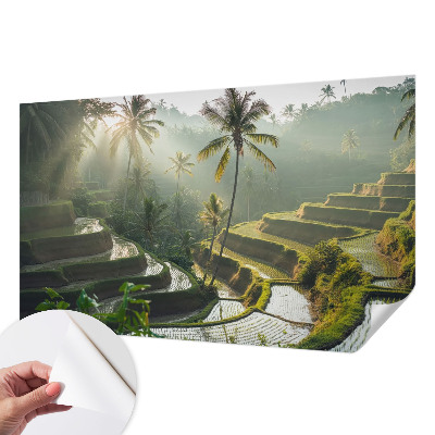 Papel de parede infantil Terraços paradisíacos
