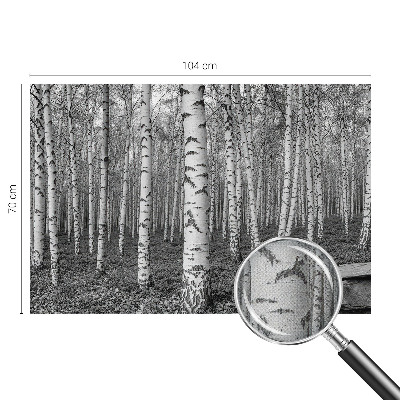 Autocolante de parede fotográfico Floresta de bétulas