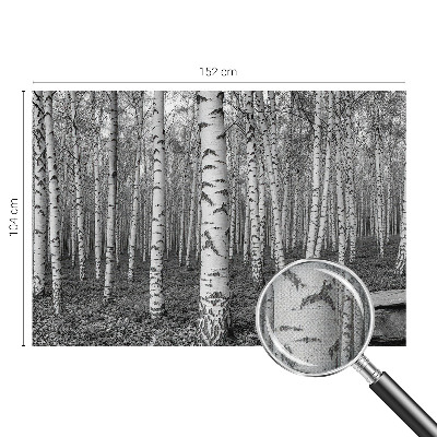 Autocolante de parede fotográfico Floresta de bétulas