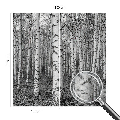 Autocolante de parede fotográfico Floresta de bétulas