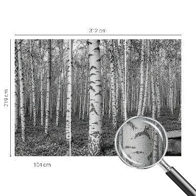 Autocolante de parede fotográfico Floresta de bétulas