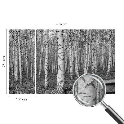 Autocolante de parede fotográfico Floresta de bétulas