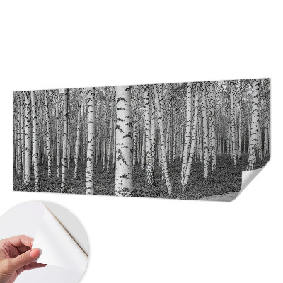 Autocolante de parede fotográfico Floresta de bétulas