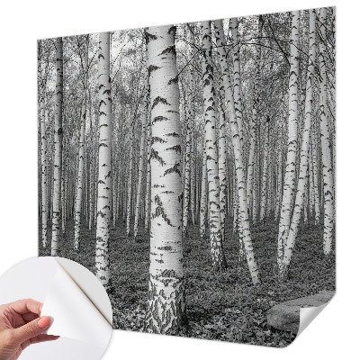 Autocolante de parede fotográfico Floresta de bétulas