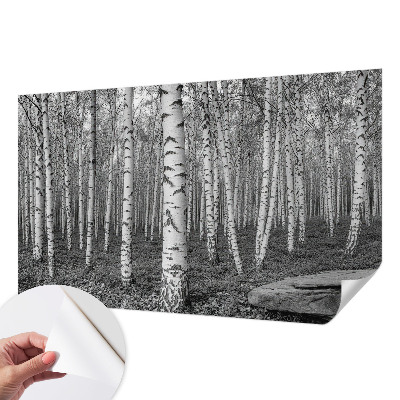 Autocolante de parede fotográfico Floresta de bétulas