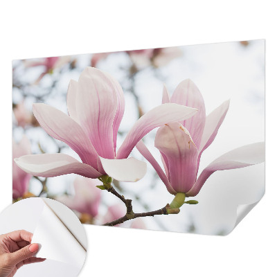 Autocolante de parede fotográfico com motivo de flores de magnólia