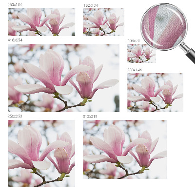Autocolante de parede fotográfico Flores de magnólia