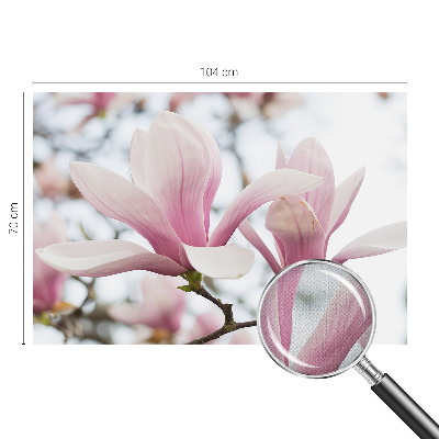 Autocolante de parede fotográfico Flores de magnólia