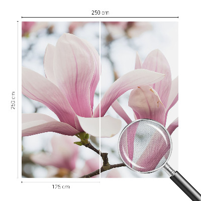 Autocolante de parede fotográfico Flores de magnólia