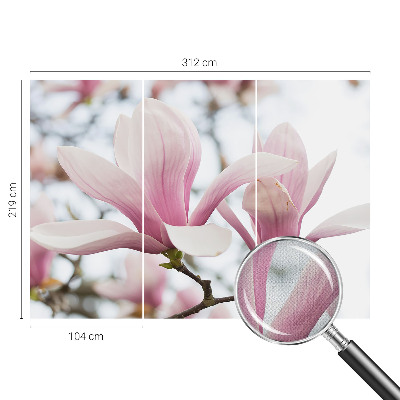 Autocolante de parede fotográfico Flores de magnólia