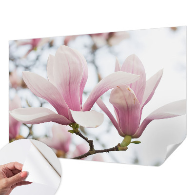 Autocolante de parede fotográfico Flores de magnólia