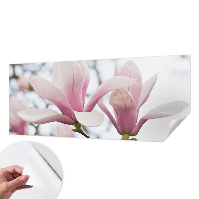 Autocolante de parede fotográfico Flores de magnólia