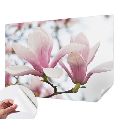 Autocolante de parede fotográfico Flores de magnólia
