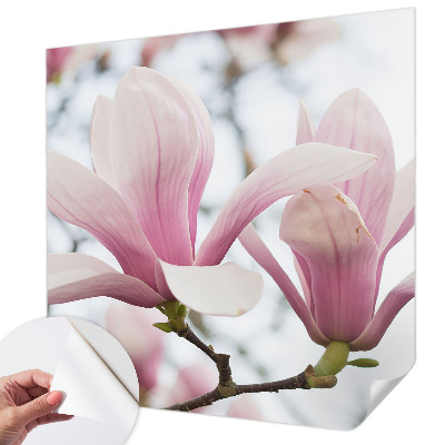 Autocolante de parede fotográfico Flores de magnólia