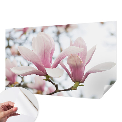 Autocolante de parede fotográfico Flores de magnólia