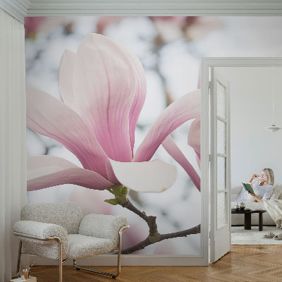 Autocolante de parede fotográfico Flores de magnólia