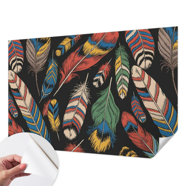 Papel de parede 3D Penas coloridas