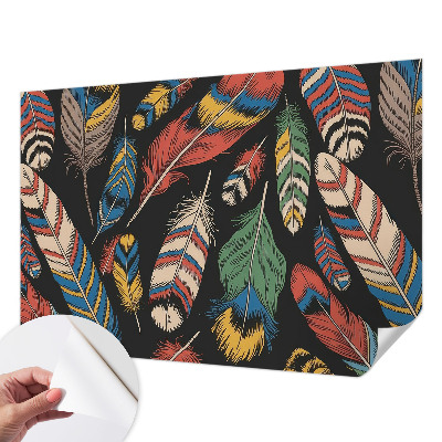 Papel de parede 3D Penas coloridas