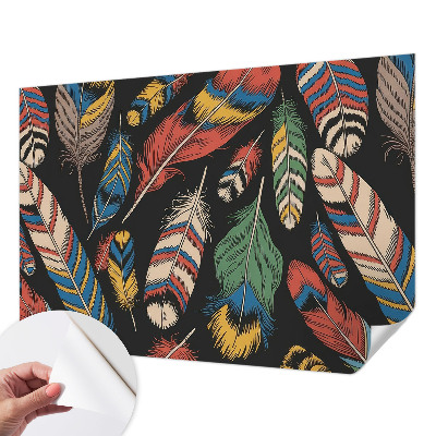 Papel de parede 3D Penas coloridas