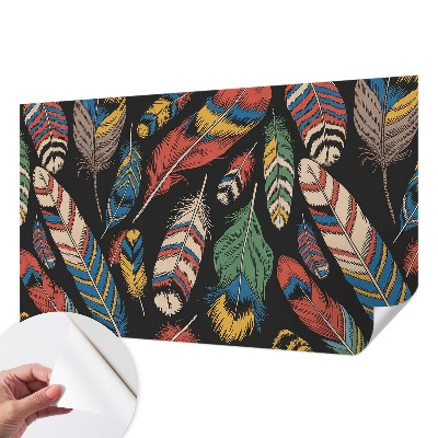Papel de parede 3D Penas coloridas