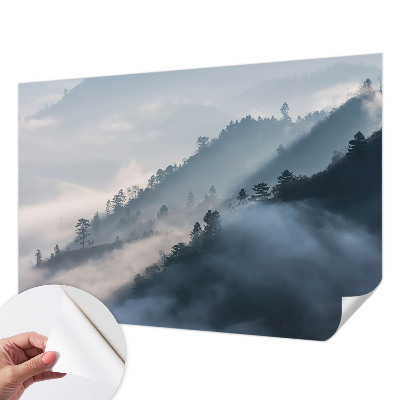 Papel de parede autocolante Paisagem enevoada