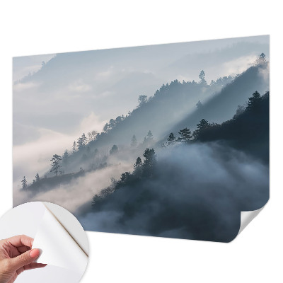 Papel de parede autocolante Paisagem enevoada
