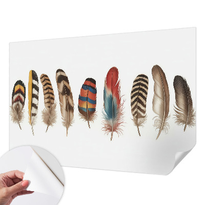 Papel de parede para criança Penas coloridas