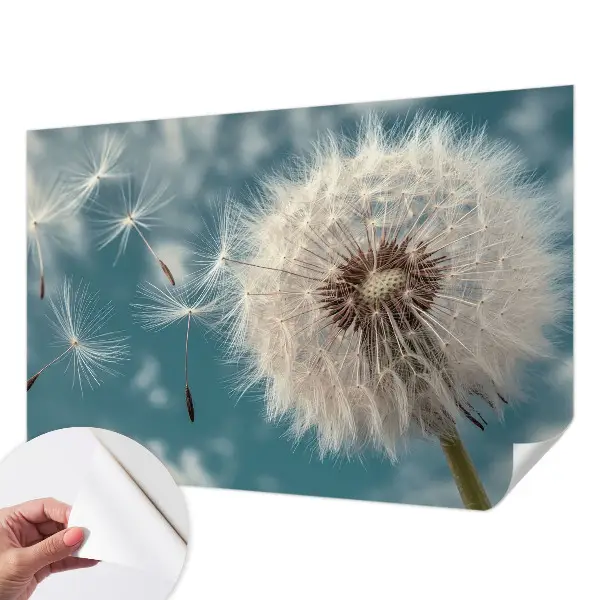 Autocolante de parede fotográfico com um leve e etéreo efeito decorativo