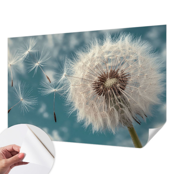Autocolante de parede fotográfico Uma leve eterealidade