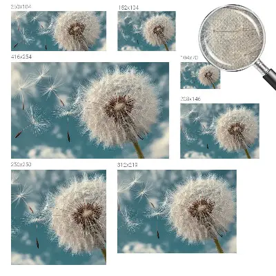 Autocolante de parede fotográfico com um leve e etéreo efeito decorativo
