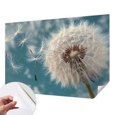 Autocolante de parede fotográfico Uma leve eterealidade