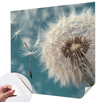 Autocolante de parede fotográfico Uma leve eterealidade