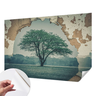 Papel de parede autocolante Uma árvore solitária