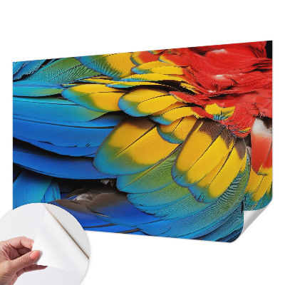 Papel de parede para criança com padrão de penas em arco-íris