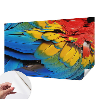 Papel de parede para criança penas de arco-íris
