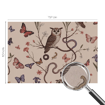 Autocolante de parede fotográfico natureza da coruja