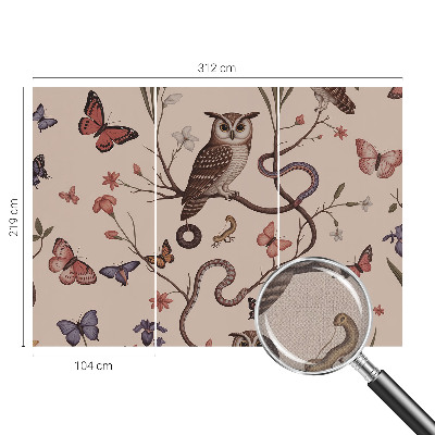 Autocolante de parede fotográfico natureza da coruja