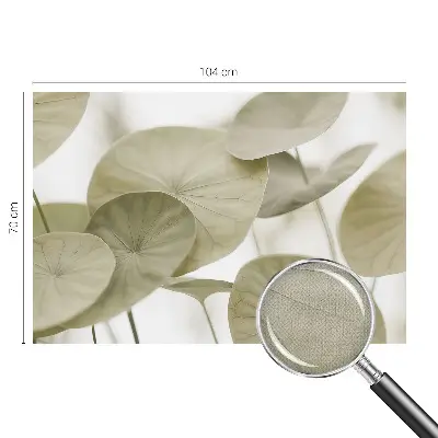 Autocolante de parede fotográfico com design Elegância natural