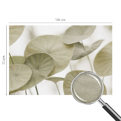 Autocolante de parede fotográfico Elegância natural