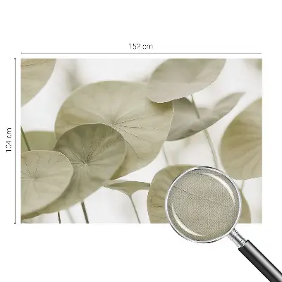 Autocolante de parede fotográfico com design Elegância natural