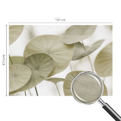 Autocolante de parede fotográfico Elegância natural