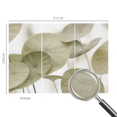 Autocolante de parede fotográfico com design Elegância natural